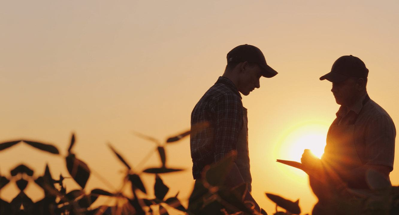 Cooperative Case Study Download Free Pdf Cooperative Rural - Artistic Retina Minimal Backgrounds | Free Download